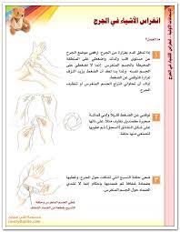 404 not found food photography background background for photography map screenshot