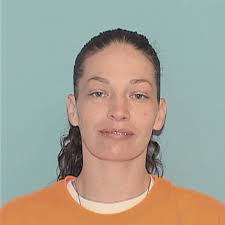 ᐅ Illinois Criminal Records 2009-2025