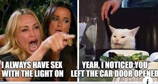 Pin By Nicole Brady On White Cat Memes Laughing So Hard Funny Memes Cats