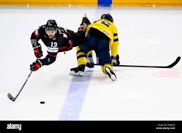 Tanev hi-res stock photography and images