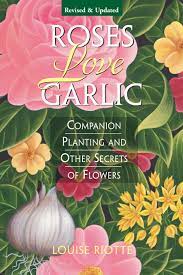We did not find results for: Roses Love Garlic Companion Planting And Other Secrets Of Flowers Riotte Louise 9781580170284 Amazon Com Books