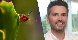 Image result for Tick Bite