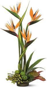 Seattle Flowers Tropical Floral Arrangements Tropical Flower Arrangements Church Flower Arrangements