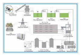 Egg Carton Making Machine Turn Waste Paper Into Treasure