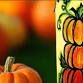Pumpkins A Glow (Bottle Lamp) - Painting Class