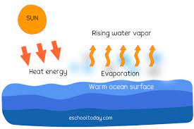 I can seep through locked doors and cracks and move swiftly, like a shadow fleeing. The Evaporation Stage Of The Water Cycle Eschooltoday