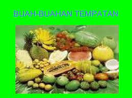 Murid dibahagikan kepada empat kumpulan untuk melakukan aktiviti. Buah Buahan Tempatan Brunei