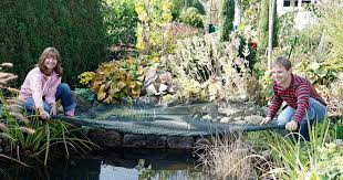 Hängende gärten (an abhängen terrassenförmig angelegte. Gartenteich Mit Teichnetz Abdecken So Geht S Mein Schoner Garten