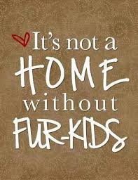 A House Is Not A Home Without Fur Kids Rescuedogquotes Rottweilerquotes Dog Quotes Animal Quotes Dog Love