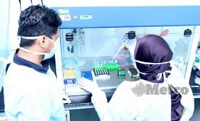 1,894 likes · 5 talking about this. Makmal Husm Bantu Lakukan Ujian Sampel Covid 19