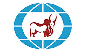 Indusind bank is india's one of the most popular private sector bank. Induslnd Bank Logo And Tagline