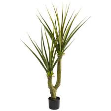 Yucca brevifolia is a plant species belonging to the genus yucca. 5 Yucca Artificial Plant In 2021 Yucca Plant Artificial Plants Yucca Tree