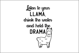 Download Listen To Your Llama Drink The Water And Hold The Drama Svg Cut File By Creative Fabrica Crafts Creative Fabrica Yellowimages Mockups