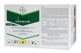 Image result for Metasphaeria diplodiella