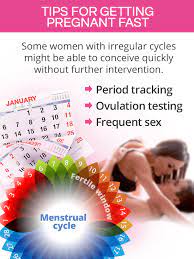 How To Get Pregnant With Irregular Periods Shecares