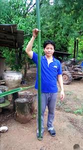 Image result for Oreobambos buchwaldii