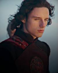 Harry Collett House of The Dragon