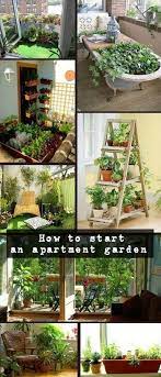 5 Tips To Start Your Indoor Garden Apartment Garden Indoor Garden Small Space Gardening
