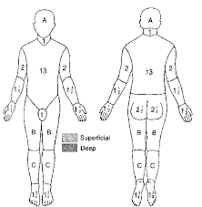 clinical practice guidelines burn diagram