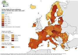 Majistral el antiseptiği hazırlama kılavuzu. Qo16a4 8p T7pm
