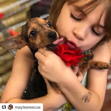 Fav pic! I can't! So our adoption event today which was a great success… We  adopted two dogs today which made us very happy. So we're at the end of  this adoption