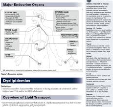 Signs and symptoms of testicular cancer include: Toronto Endocrinology Flashcards Quizlet