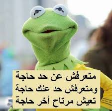 ���� ���� ������ �� ���� ������