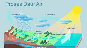 Evaporasi adalah bagian yang sangat penting dari siklus air yang terjadi ketika zat cair berubah menjadi gas. Siklus Air Evaporasi Kondensasi Presipitasi Infiltrasi Pembelajar Net