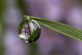 Yassine صور رائعة الإنعكاس على قطرات الماء