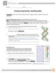 Building dna answer key vocabulary: Building Dna Gizmo Completed Docx Name Date Student Exploration Building Dna Vocabulary Double Helix Dna Enzyme Mutation Nitrogenous Base Nucleoside Course Hero