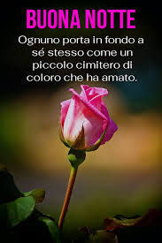 Adesivi fiori e rose per whatsapp da scaricare e condividere con i tuoi amici. 2020 Novita Immagini Di Fiori Di Buona Notte