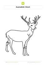 Pin Von Doodle Aj Auf Weihnachten Waldtiere Ausmalen Tiere Des Waldes