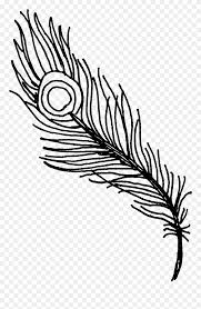 peacock feather drawing png clipart png download black peacock feather png transparent png 5293528 pinclipart peacock feather drawing png clipart
