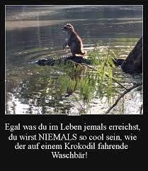 Silahkan kunjungi postingan coole lustige bilder kostenlos hochladen untuk membaca artikel selengkapnya dengan klik link di atas. So Cool Lustig Witzig Bild Bilder Spruch Spruche Kram Waschbar Auf Krokodil Funny Pictures Funny Share Funny