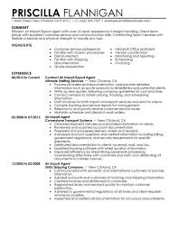 7 Amazing Government Military Resume Examples Livecareer