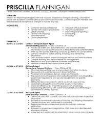 government & military resume examples