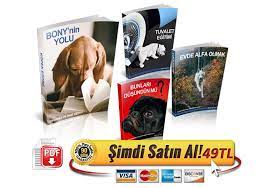 yavru kopek egitimi yavru kopek egitimi