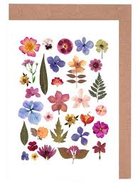 Friends and family will be delighted. Pressed Flowers 01 Greeting Card Set Juniqe