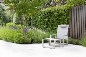 Plant llc specializes in rare and exceptional plants, collected and trialed by shayne chandler in his garden design/build work since 1995. Town Garden Kingston Joe Perkins Garden Landscape Designer Sussex Surrey London