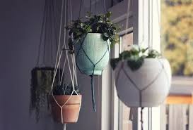 How To Hang Plants From The Ceiling