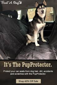 Pupprotector Back Seat Dog Car Cover Dogs Dog Seat Covers Cute Dogs Breeds