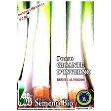 Un porro della qualita' indicata come migliore, molto amata, dalle foglie di un verde chiaro, che cresce molto lungo. Porro Gigante D Inverno Bioseme 3319
