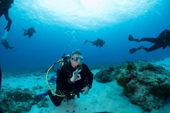 What are opinions on Dressel divers and Iberostar resort Cozumel?