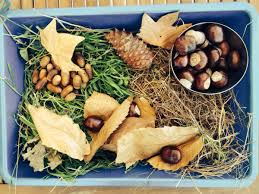 Bac Sensoriel L Automne 2014 S Eveiller Et S Epanouir De Maniere Raisonnee Bac Sensoriel Sensoriel Automne
