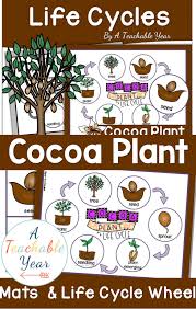 Cocoa Plant Life Cycle Activities K 2 Science Plants In 2020 Cocoa Plant Plant Life Cycle Plants Life Cycle Activities