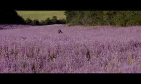 Ganz allein muss die junge witwe louise ihre beiden kinder erziehen und den hof in der provence bewirtschaften. Birnenkuchen Mit Lavendel 2015 Film Trailer Kritik