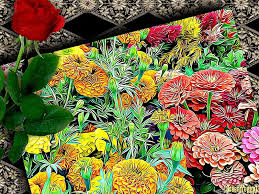 World of flowers finished pages. Page 6 Hd Flowers Frames Wallpapers Peakpx