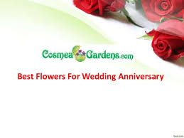 Every wedding anniversary deserves a celebration in a special way. Anniversary