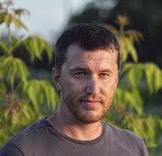 Russian Winter. Winter Forest Landscape in Pink Tones. Morning Winter Birch  Forest Stock Image