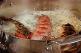 There are so many other ways to create delicious lobster meals, though, including outdoor grilling which is growing in popularity. Sauteed Lobster Tails Greenhead Lobster